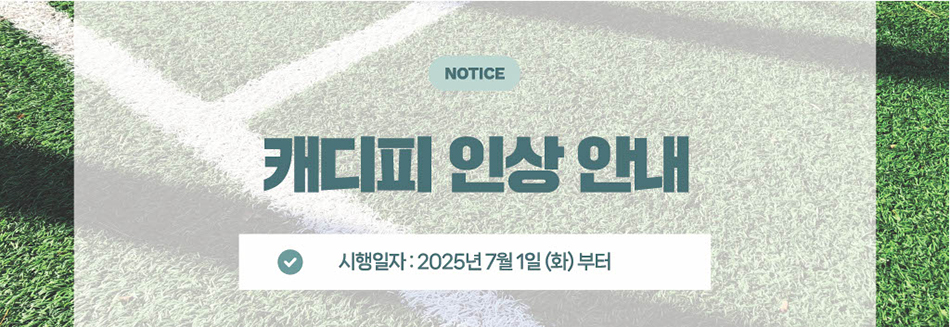 캐디피 인상 안내